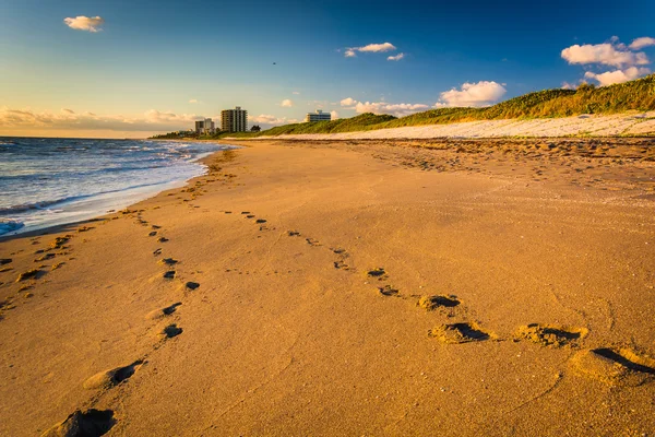 Ślady na piasku w Coral Cove Park, wyspa Jowisza, Flori — Zdjęcie stockowe