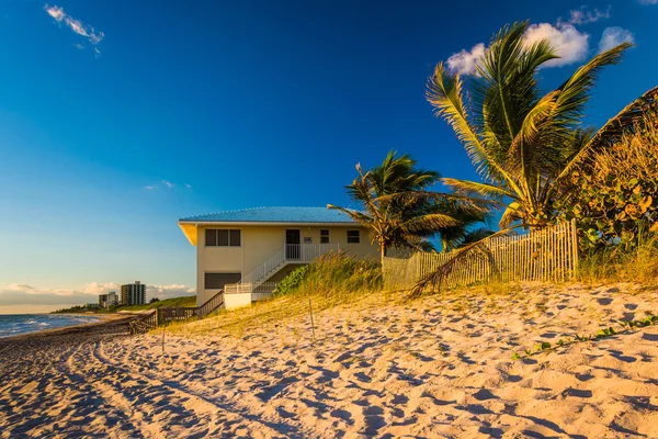 Palmiye ağaçları ve Jüpiter Island, Florida plaj evi. — Stok fotoğraf