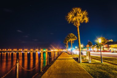 Palmiye ağaçları Matanzas Nehri St gece boyunca bir yol boyunca.