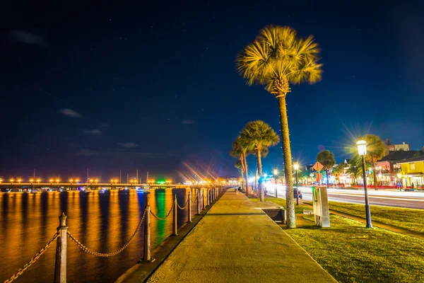 Palmiye ağaçları Matanzas Nehri St gece boyunca bir yol boyunca.