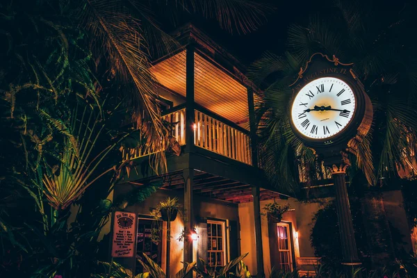 Shop and clock surrounded by palm trees and foliage at night, in — Stock Photo, Image
