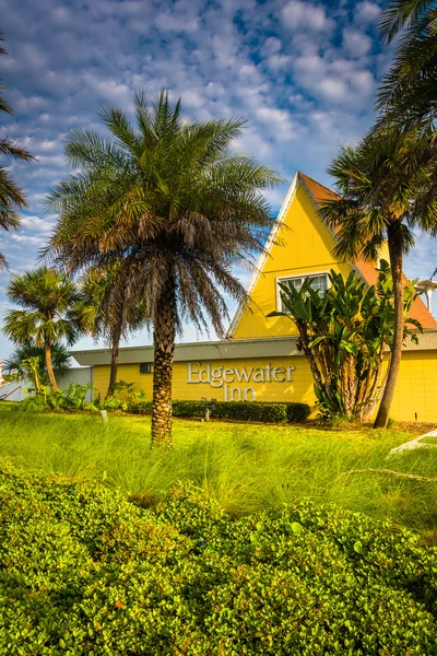 St Augustine Beach, Florida Edgewater Inn ve palmiye ağaçları — Stok fotoğraf