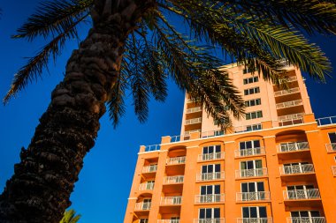 Büyük otel ve Clearwater Beach, Florida'da bir palmiye ağacı. 