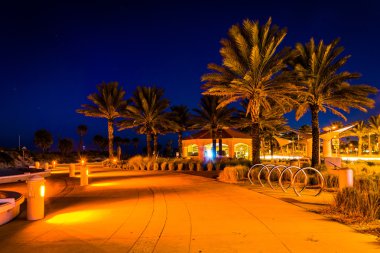 Clearwater Beach, Florida, gece yol palmiye ağaçları. 