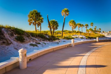 Kum tepeleri ve palmiye ağaçları Clearwater Beach, Flor, yol