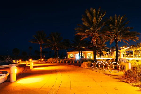 Palmeras a lo largo de un sendero por la noche en Clearwater Beach, Florida . — Foto de Stock