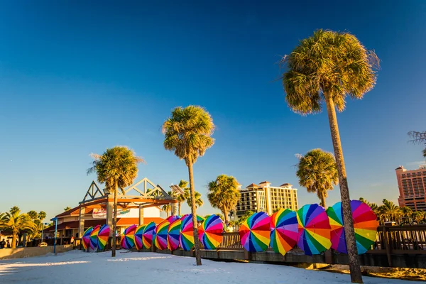 Palmeiras e guarda-sóis coloridos em Clearwater Beach, Flo — Fotografia de Stock