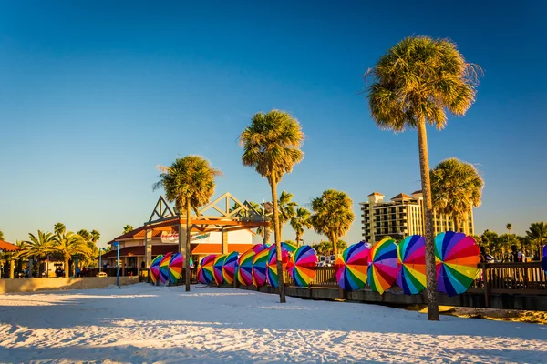 Palmbomen en kleurrijke parasols in Clearwater Beach, Flo — Stockfoto