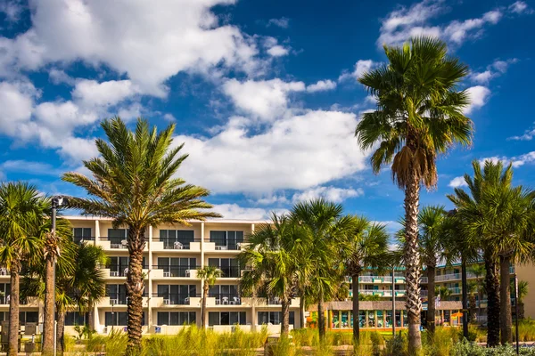 Palm trees and hotel in Clearwater Beach, Florida. — Stock Photo, Image