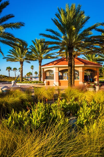 Palm trees and pavilion in Clearwater Beach, Florida. — Stock Photo, Image