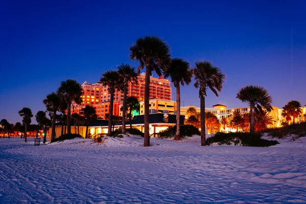 Palmbomen op het strand bij nacht in Clearwater Beach, Florida. — Stockfoto