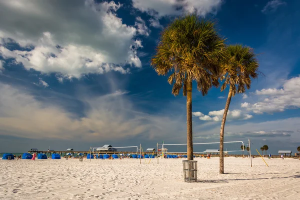 Clearwater Beach, Florida, sahilinde palmiye ağaçları. — Stok fotoğraf