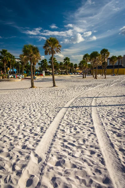 Reifenspuren im Sand und Palmen am Strand — Stockfoto