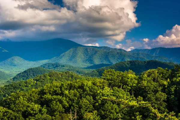 Vue sur les montagnes du Parc National des Grandes Montagnes Fumées, Tennes — Photo