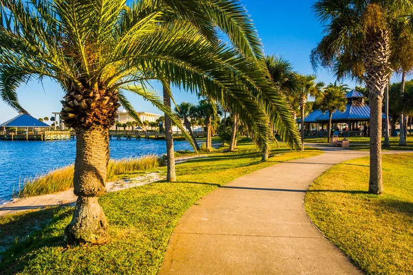 Palm trees along a path in Daytona Beach, Florida. — Stock Photo, Image