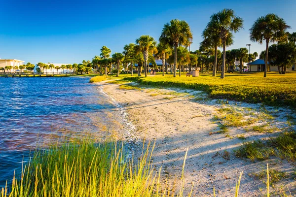Malá písečná pláž na řece Halifax v Daytona Beach, Florida — Stock fotografie