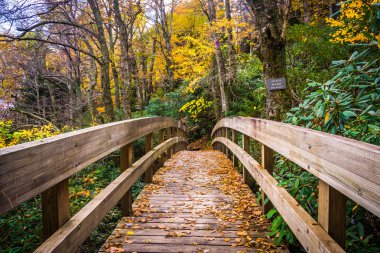 Sonbahar renk ve köprü mavi kurtulmak boyunca Tanawha iz