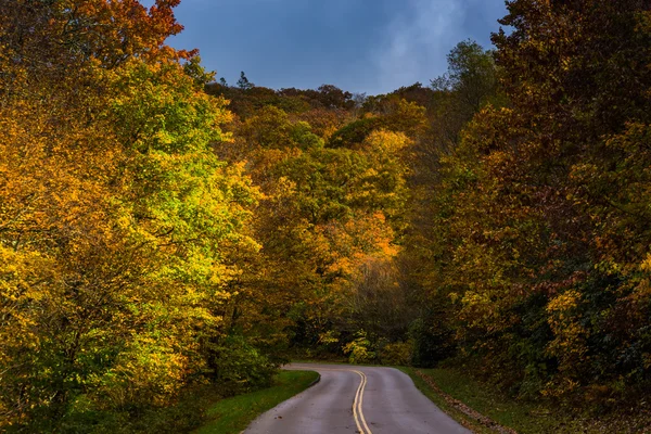 Autumn color along the Blue Ridge Parkway, near Blowing Rock, No — Stock Photo, Image