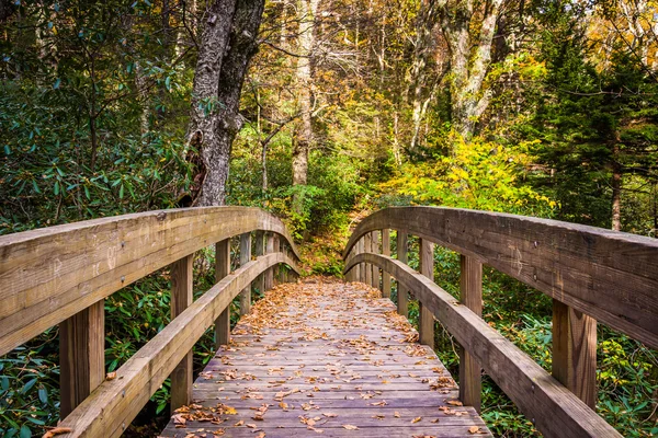 Cor de outono e ponte na Trilha Tanawha, ao longo do Blue Rid — Fotografia de Stock