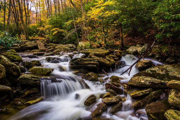 Color otoñal y cascadas en Boone Fork a lo largo del Blue Ridge Par —  Fotos de Stock