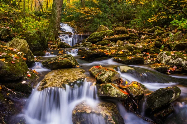 Autumn color and cascades on Stoney Fork, near the Blue Ridge Pa — Stock Photo, Image