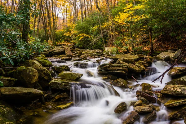 Cor de outono e cascatas em Boone Fork ao longo do Blue Ridge Par — Fotografia de Stock