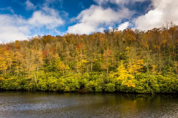 Herfst kleuren en vijver bij Julian prijs Park, in de omgeving van Blowing Rock, N — Stockfoto