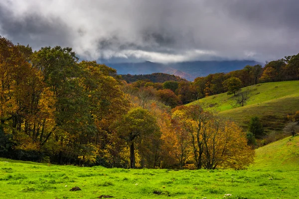 Autumn color and rolling hills in Moses Cone Park, on the Blue R — Stock Photo, Image