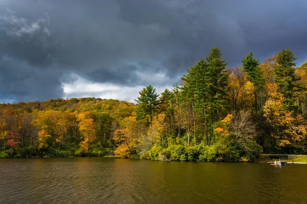 Herbstfärbung am Forellensee am Moseskegelpark, auf dem blu — Stockfoto