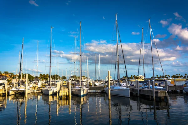 Boten in een jachthaven in Saint Petersburg, Florida. — Stockfoto