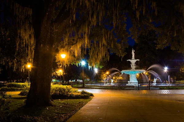 Meşe ağacı ve Çeşme Forsyth Parkı, Savannah, Georgi gece — Stok fotoğraf