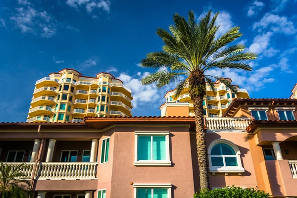 Palm trees, houses and condo towers in Saint Petersburg, Florida