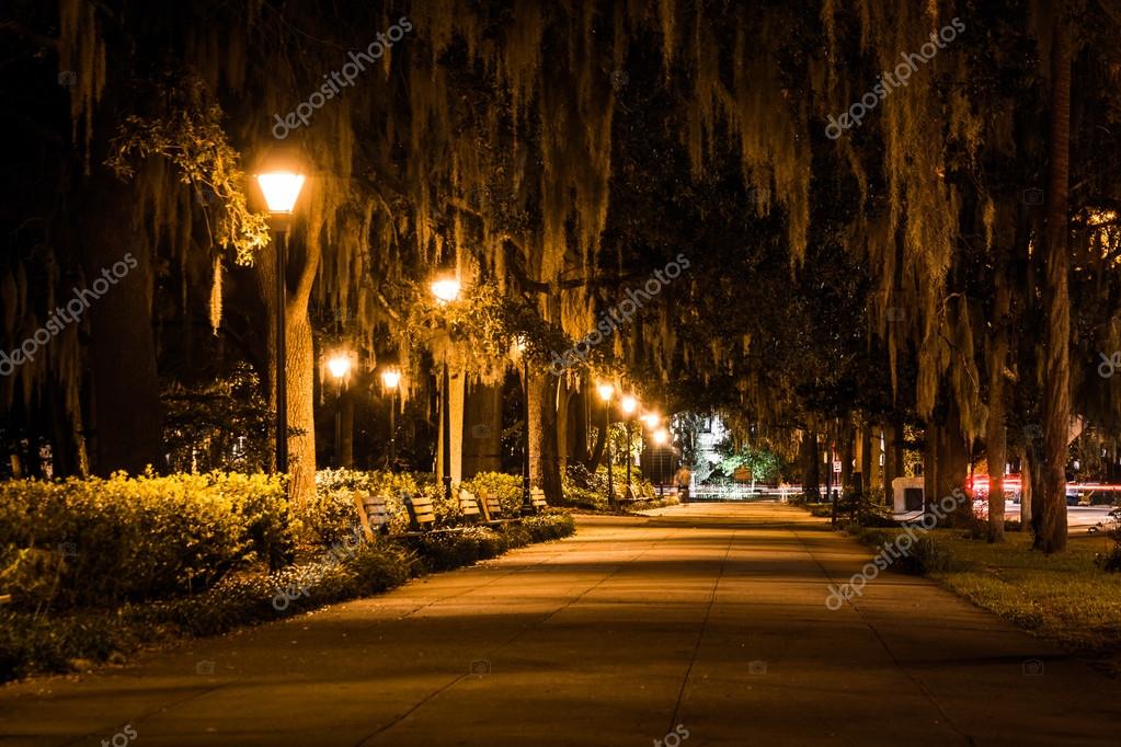 Oak Trees And Path At Night In Forsyth Park Savannah Georgia Oak Trees And Path At Night In Forsyth Park Savannah Georgia Stock