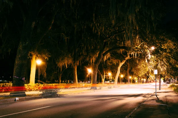 Traffic on Drayton Street and overhanging oak trees on Drayton S — Stock Photo, Image