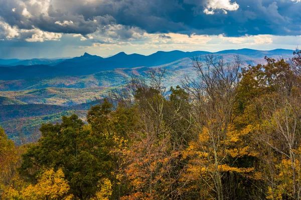Pohled na podzimní barvy z Blue Ridge Parkway, poblíž foukání R Royalty Free Stock Fotografie
