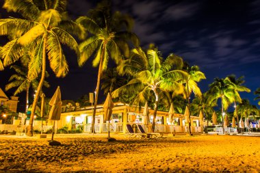 Palmiye ağaçları ve gece restoranda South Beach, Key West, 