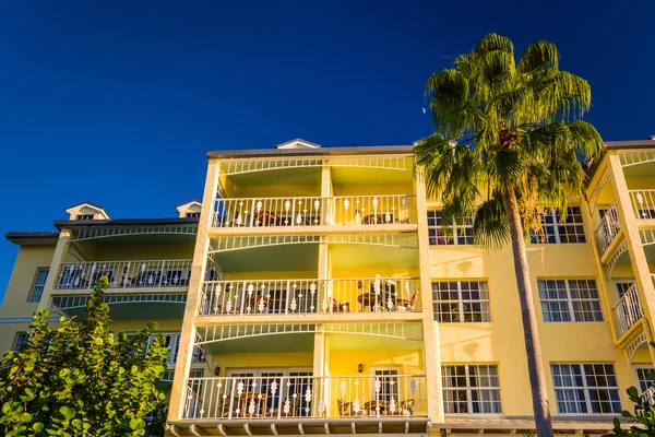 Palm tree and hotel in Key West, Florida. — Stock Photo, Image