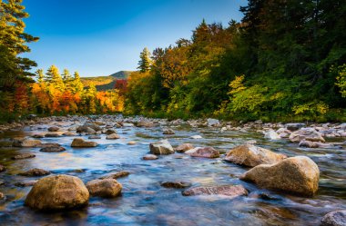 Kancamagus yolu boyunca Swift Nehri boyunca sonbahar renk