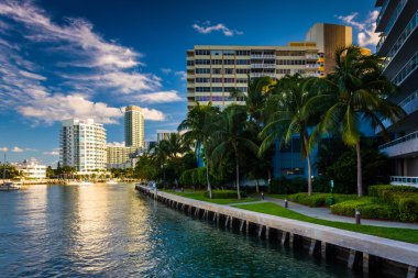 Palmiye ağaçları ve Binalar Miami Beach, Florida Belle Isle of.