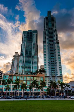 Miami, Florida şehir merkezinde gün batımında gökdelenler.