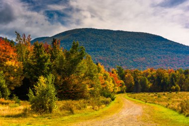 Sonbahar renk: beyaz dağ Ulusal Ormanı, Hakkari.