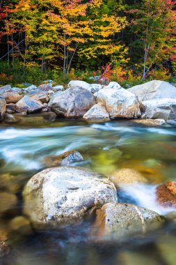 Cascades and autumn color on the Swift River along the Kancamagu clipart