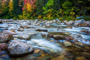 Cascades and autumn color on the Swift River along the Kancamagu clipart