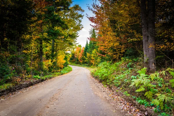 Őszi színe mentén egy földút, a White Mountain nemzeti erdészeti — Stock Fotó