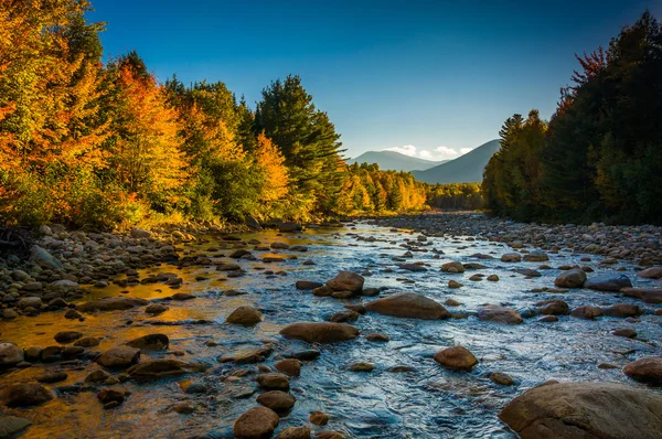 Herbstfärbung entlang des bäuerlichen Flusses in weißem Mountain National — Stockfoto