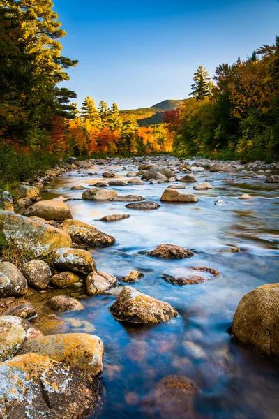 Kancamagus 高速道路に沿って、スウィフト川沿いの秋の色 — ストック写真