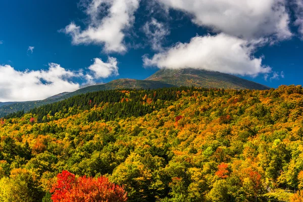 Podzimní barvy a zobrazení prezidentské rozsahu v bílém horsk — Stock fotografie