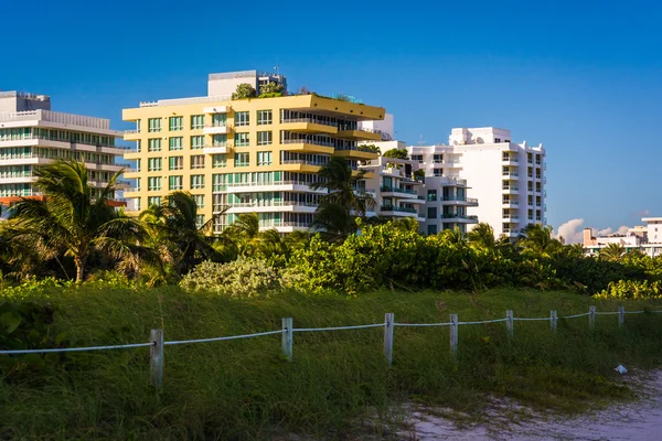 Písečné duny a budovy na pláži v Miami Beach, Florida. — Stock fotografie