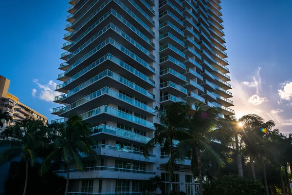 Zonsondergang door palmbomen en een wolkenkrabber in Belle Isle, Miami, Verenigde Staten — Stockfoto