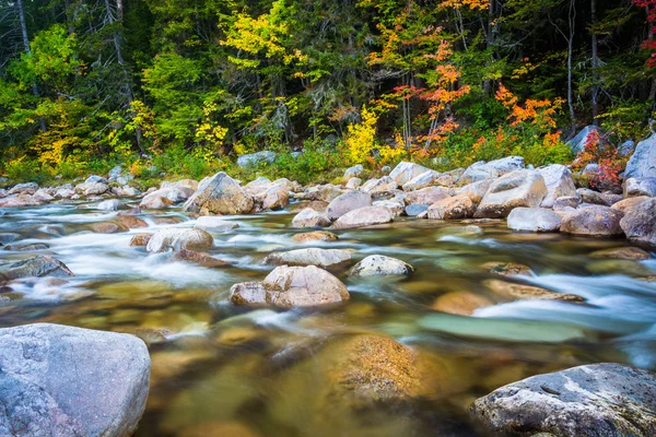 Cascades et couleur automnale sur la rivière Swift le long du Kancamagu — Photo